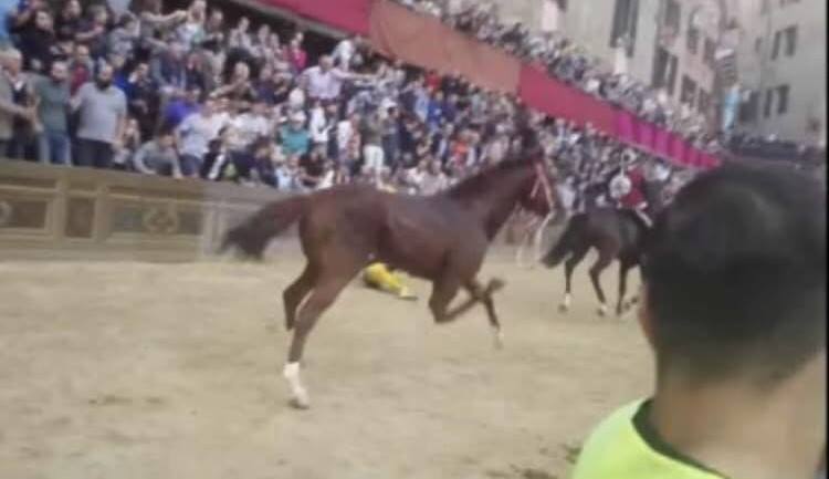 palio siena 44563796_980894225437175_3622359242599563264_n - copia